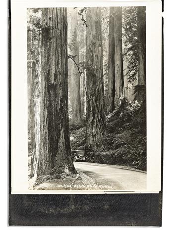 (CALIFORNIA -- PHOTOGRAPHY.) Airviews of Ward Redwood Tract Located at Mouth of Klamath River Northern California.